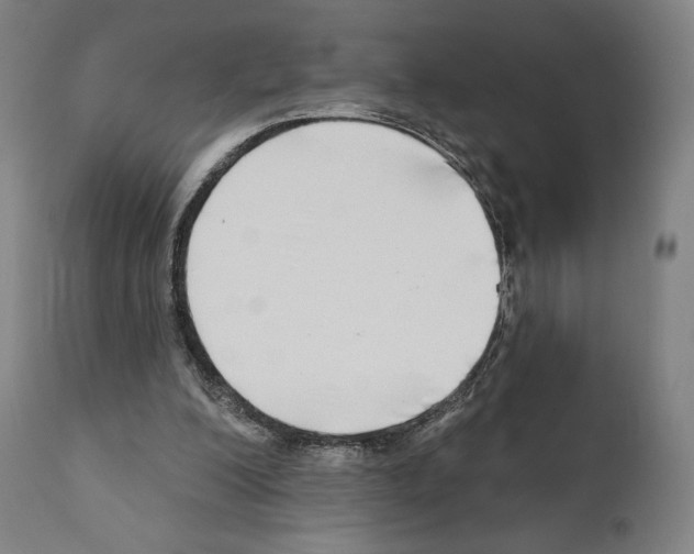 X0000111180200200908121119