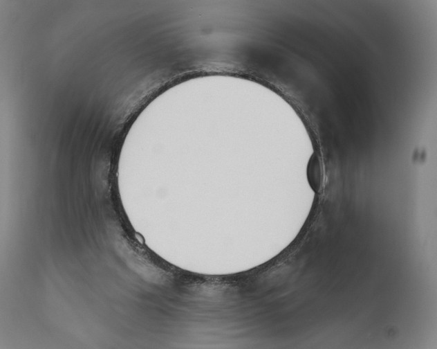 X0000111180201200908121119