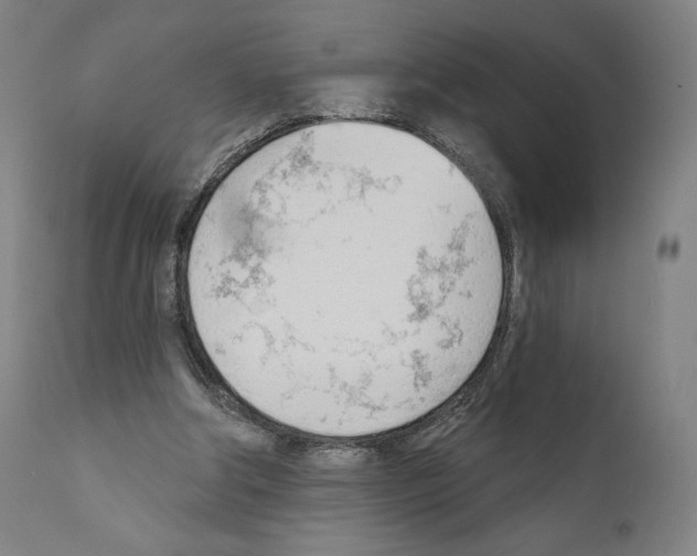 X0000111180202200908121119