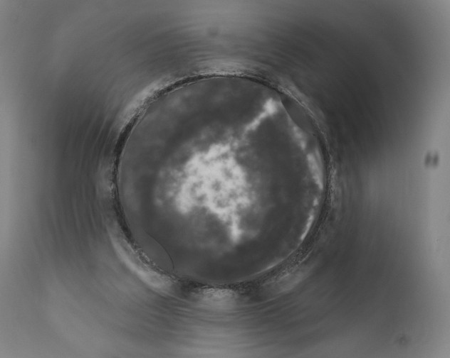 X0000111180203200908121119