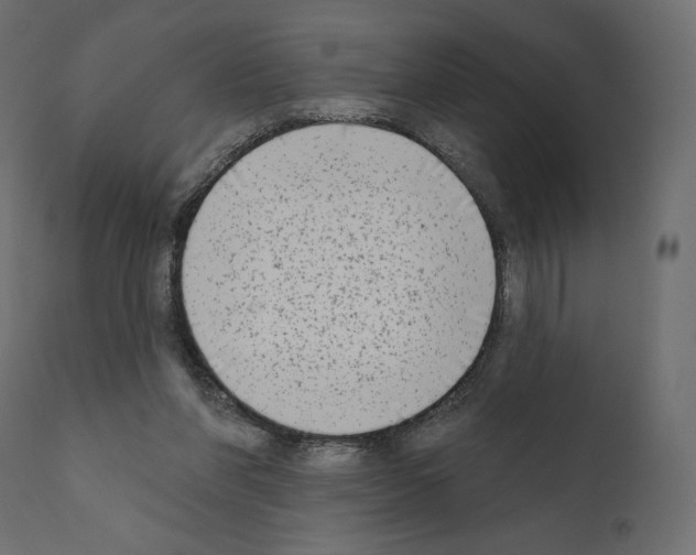 X0000111180206200908121119