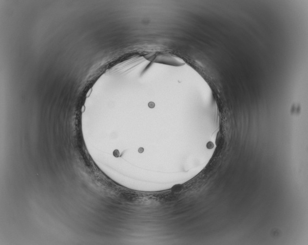 X0000111180207200908121119