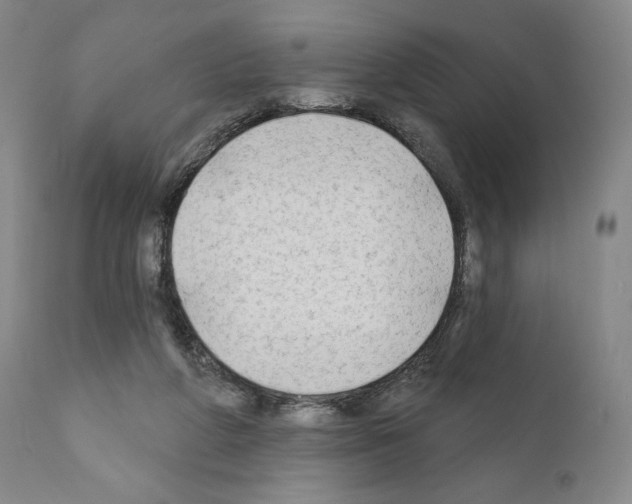 X0000111180210200908121119