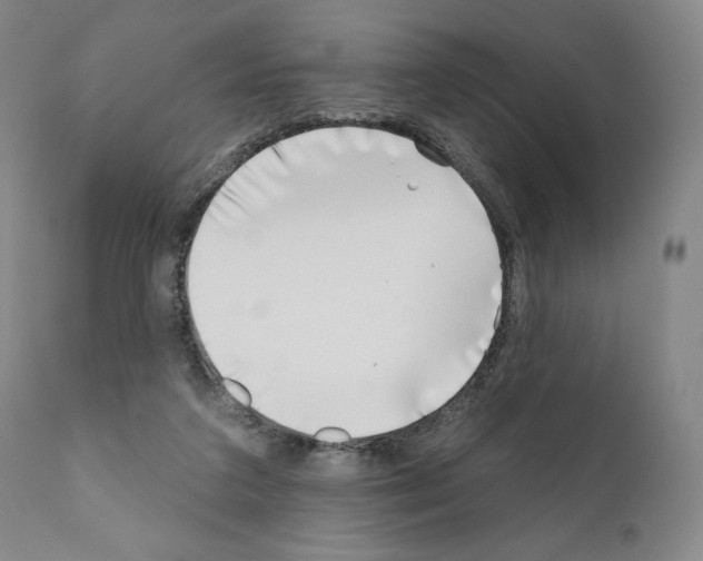 X0000111180211200908121119