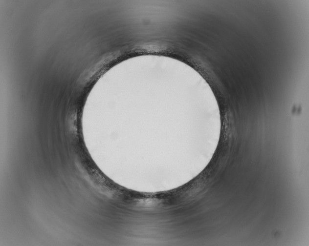 X0000111180212200908121119