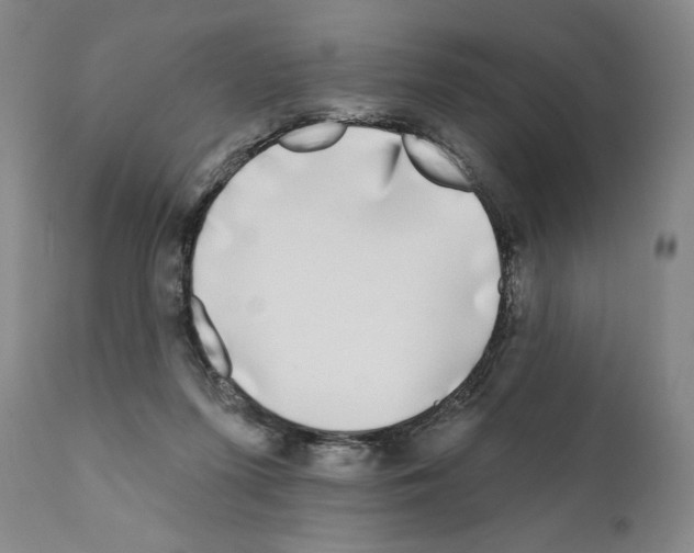 X0000111180215200908121119