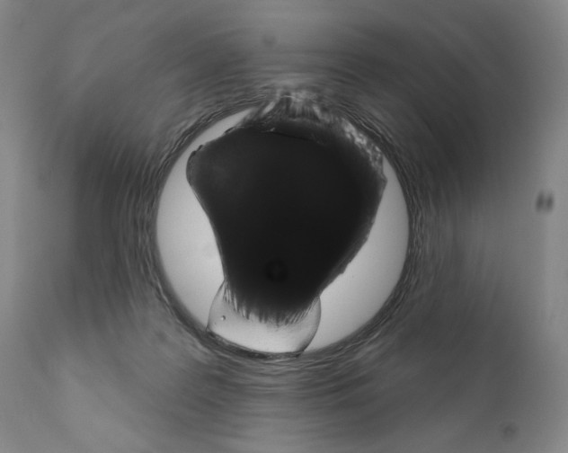 X0000111180219200908121119