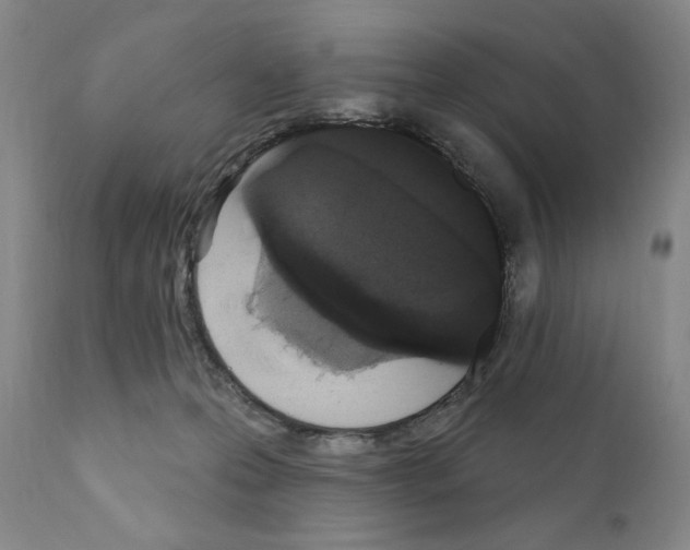 X0000111180223200908121119