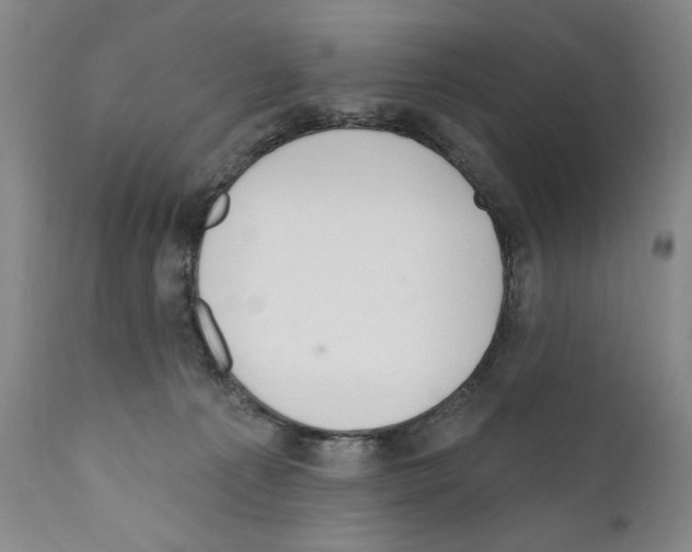 X0000111180225200908121119