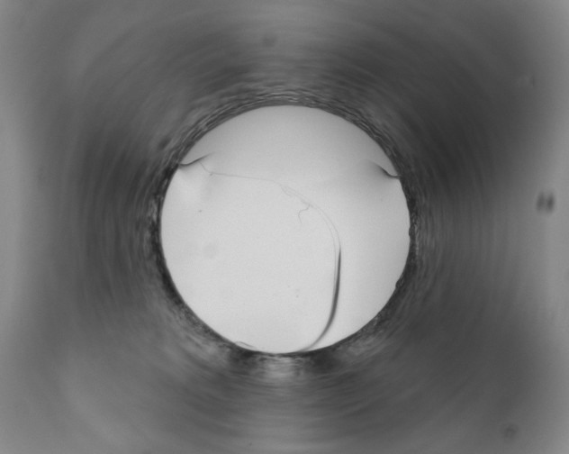 X0000111180229200908121119