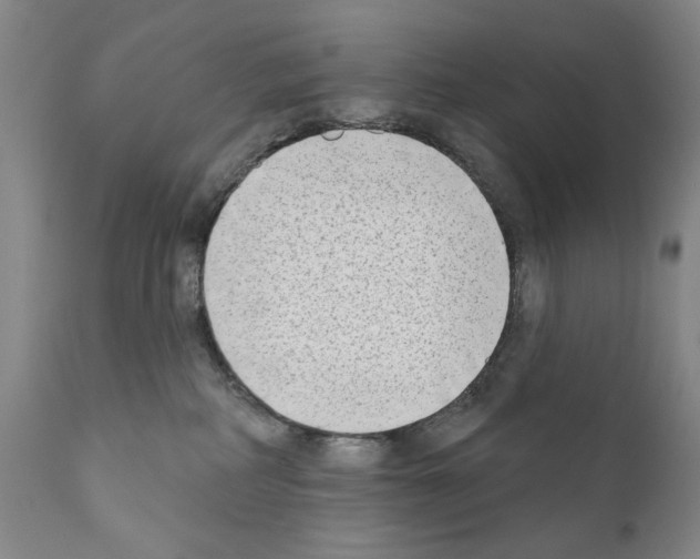 X0000111180234200908121119