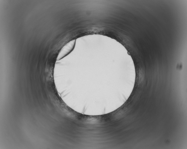 X0000111180236200908121119