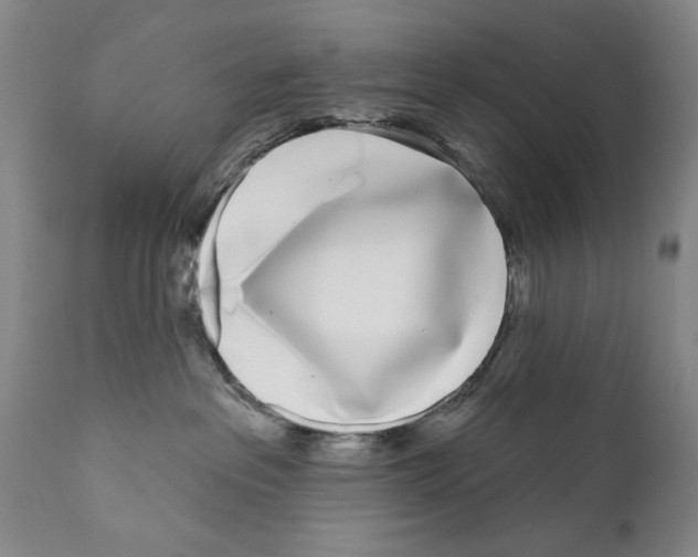 X0000111180237200908121119