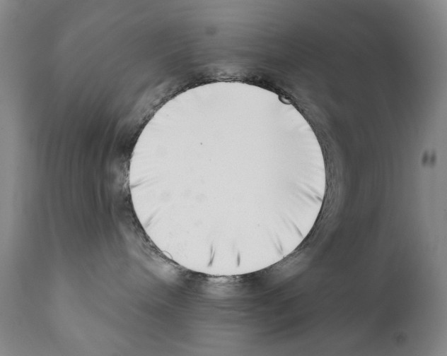 X0000111180240200908121119