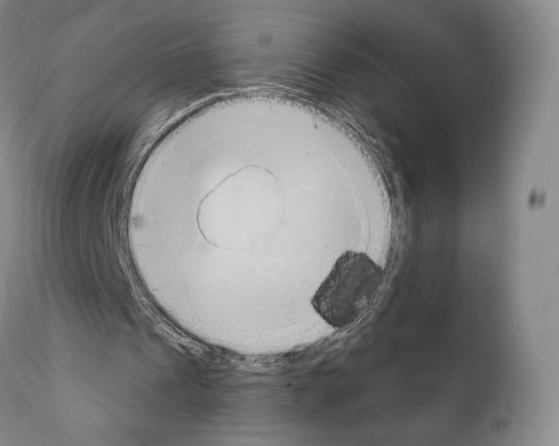 X0000111180241200908121118