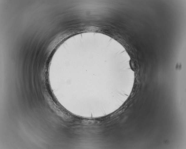 X0000111180242200908121118