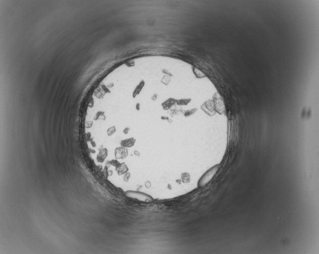 X0000111180243200908121118