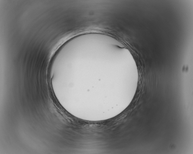 X0000111180244200908121118