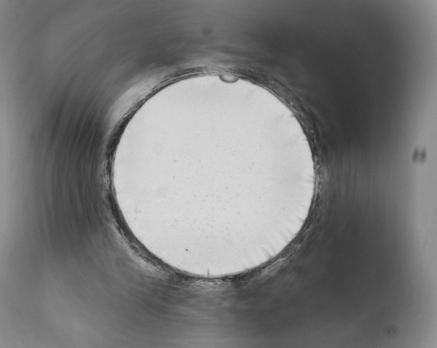 X0000111180245200908121118