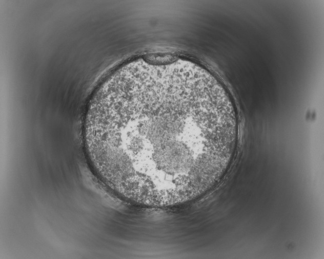 X0000111180249200908121118