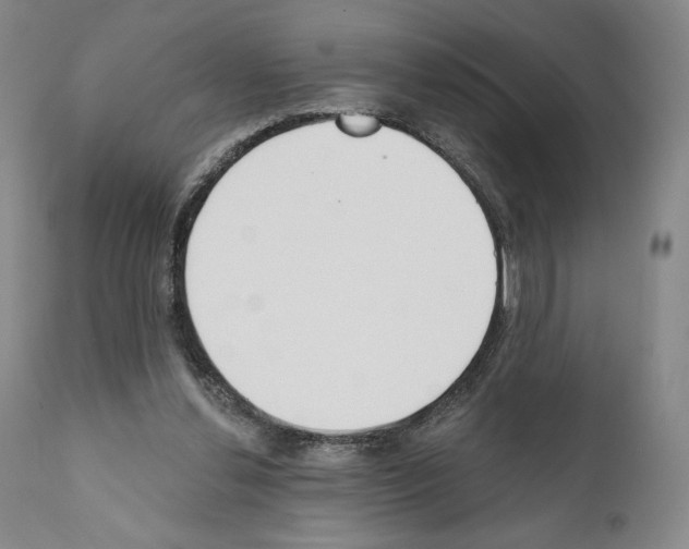 X0000111180252200908121118