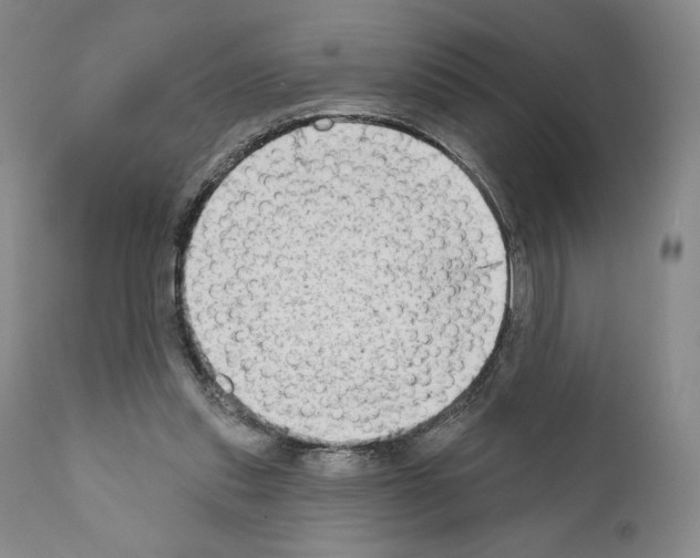 X0000111180253200908121118