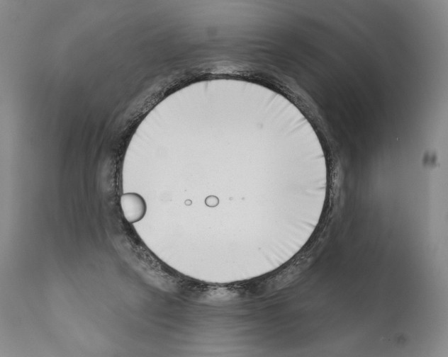 X0000111180257200908121118