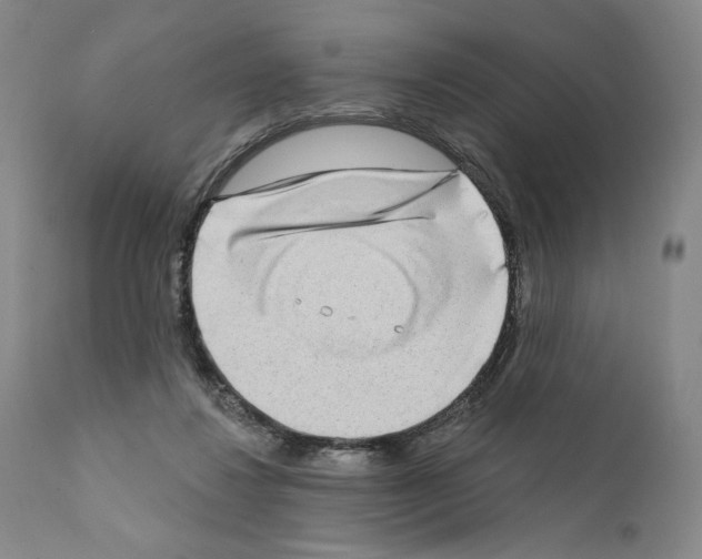 X0000111180260200908121119