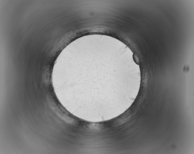 X0000111180261200908121119