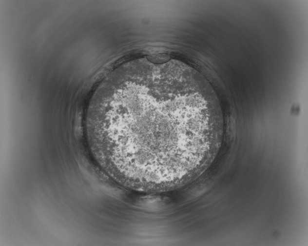 X0000111180267200908121119