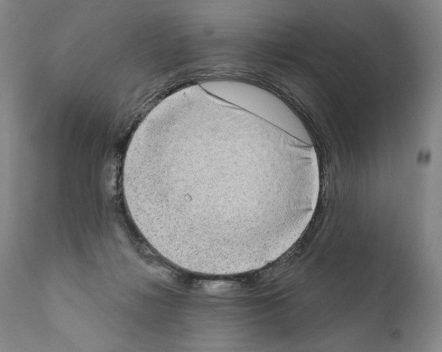 X0000111180268200908121119