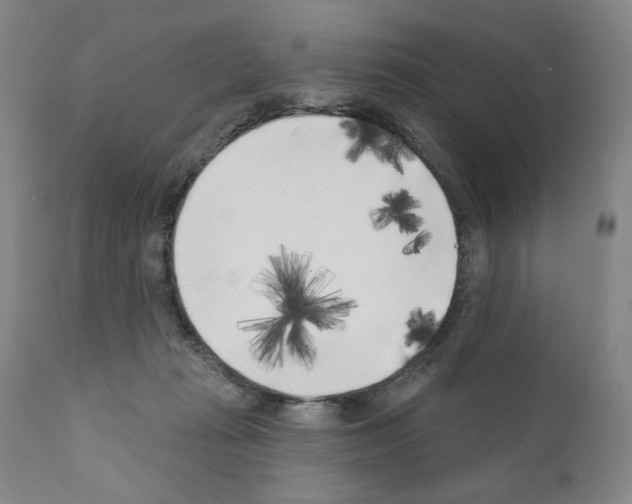 X0000111180269200908121119