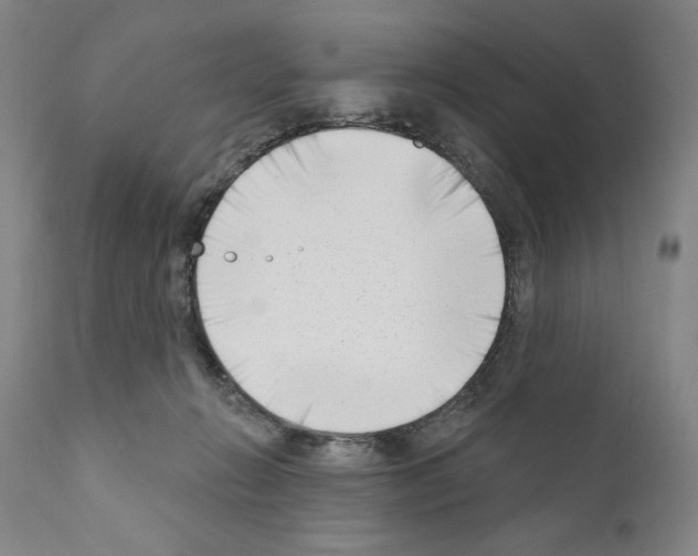 X0000111180270200908121119