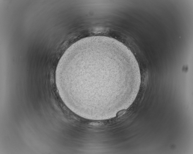 X0000111180272200908121119