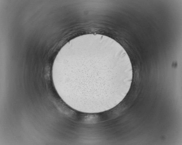 X0000111180274200908121119