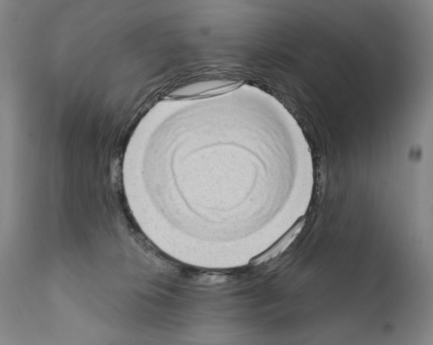 X0000111180276200908121119