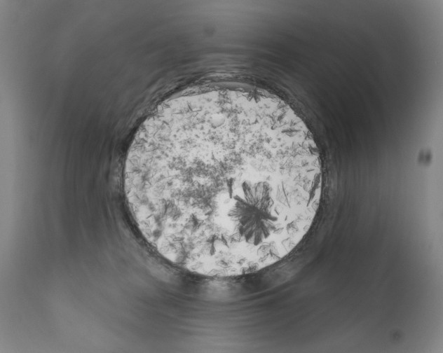 X0000111180277200908121119