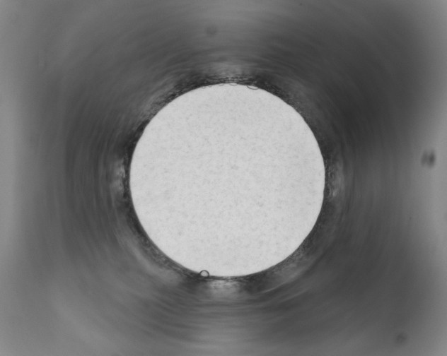 X0000111180279200908121119