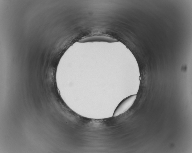 X0000111180280200908121119