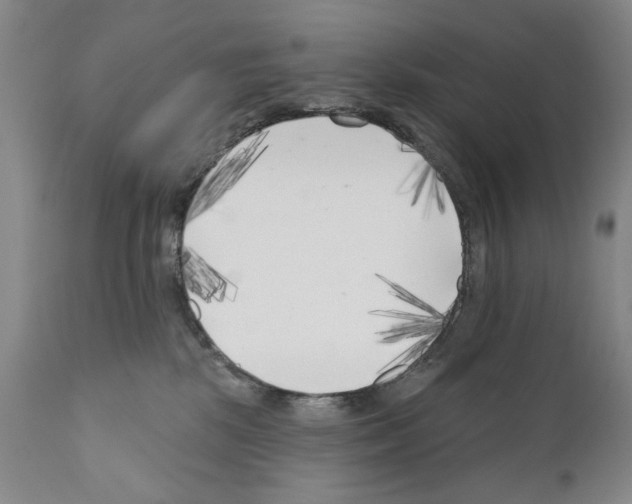 X0000111180281200908121119