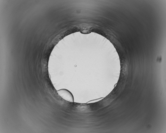 X0000111180283200908121119