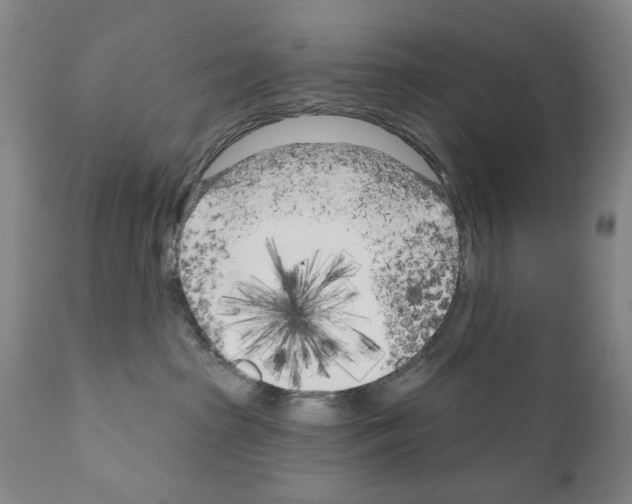 X0000111180285200908121119