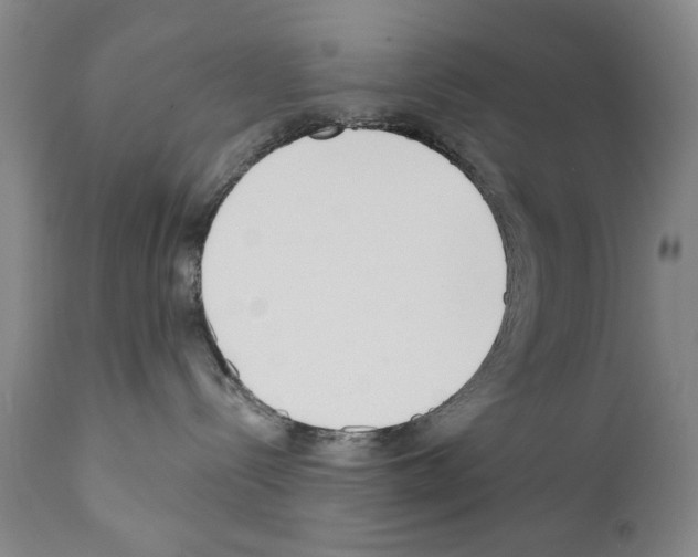 X0000111180288200908121119