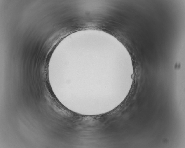 X0000111180290200908121118