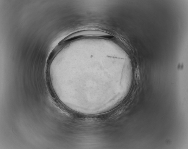 X0000111180292200908121118