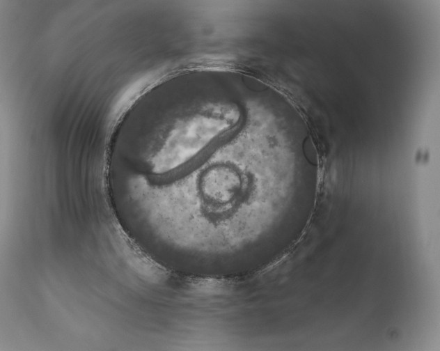 X0000111180293200908121118