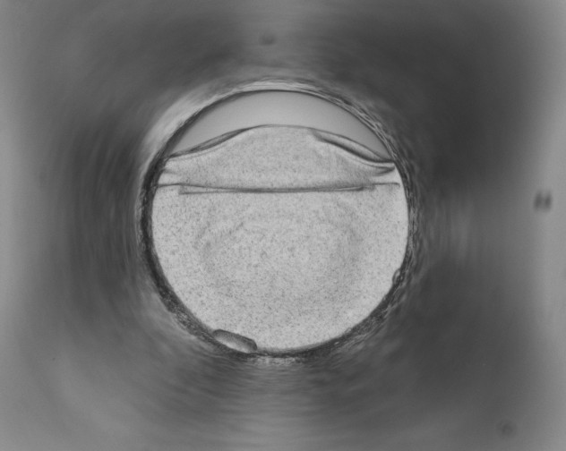 X0000111180296200908121118