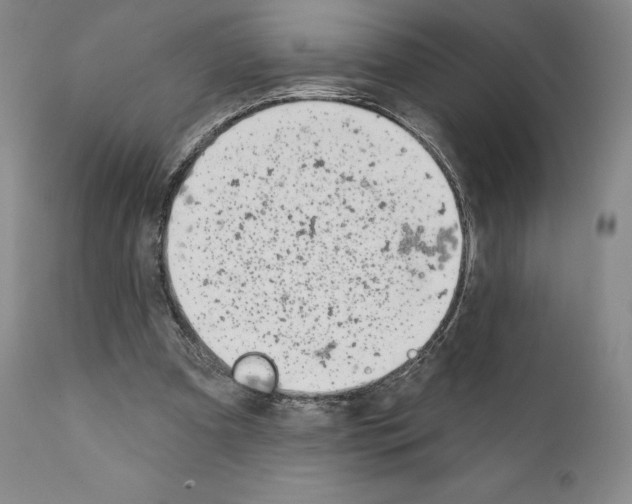 X0000111180297200908121118