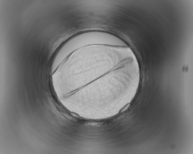 X0000111180299200908121118