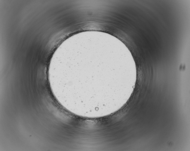 X0000111180302200908121118